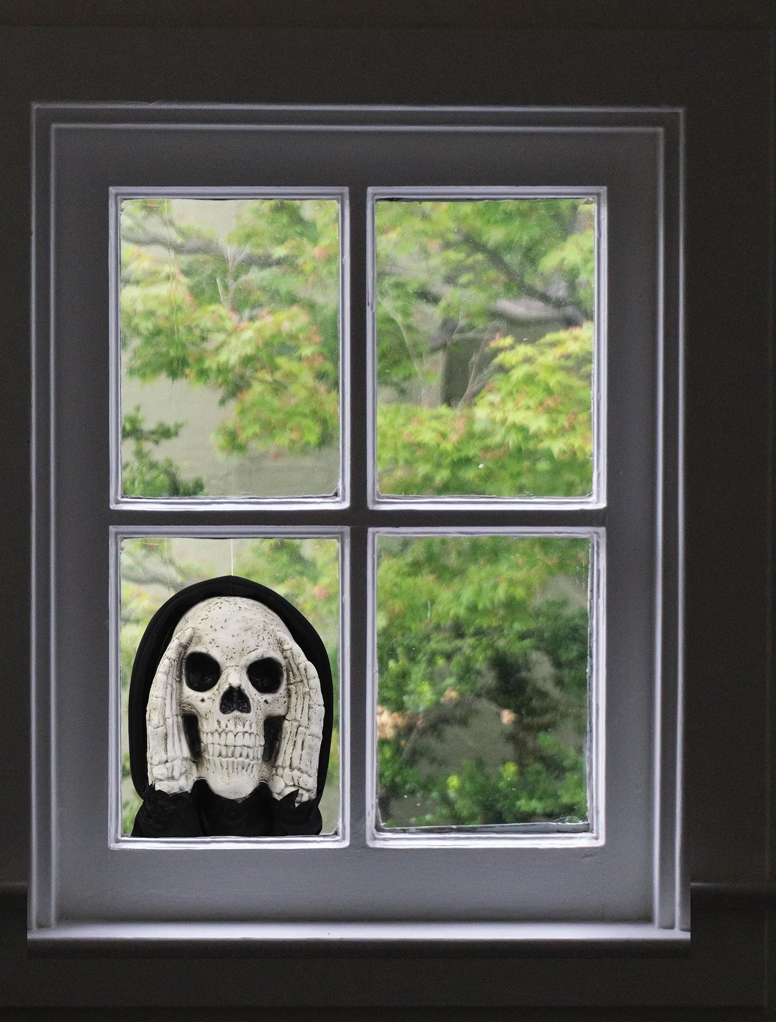 12" Scary Skull Window Peeper®