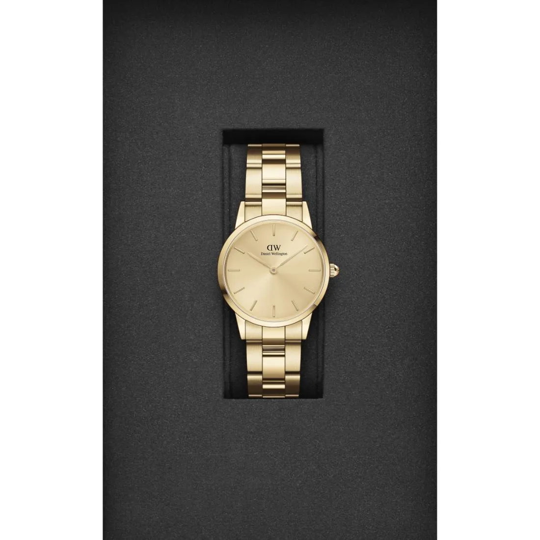 Daniel Wellington Gold Dial Women Analogue Watch - DW00100403