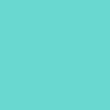 Nixon 51-30 Chrono 2024 Watch - Silver/Turquoise